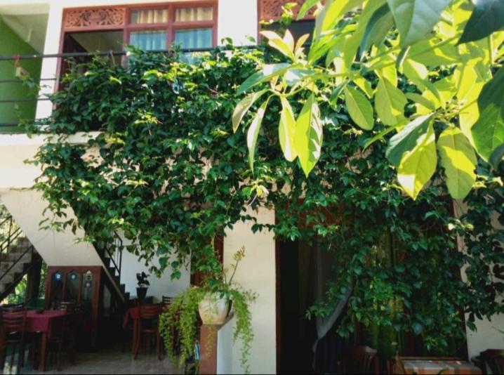 Elegant Home Stay Ella Exterior photo