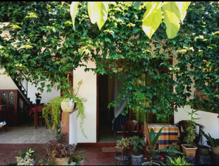 Elegant Home Stay Ella Exterior photo