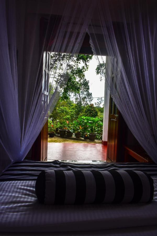 Elegant Home Stay Ella Exterior photo